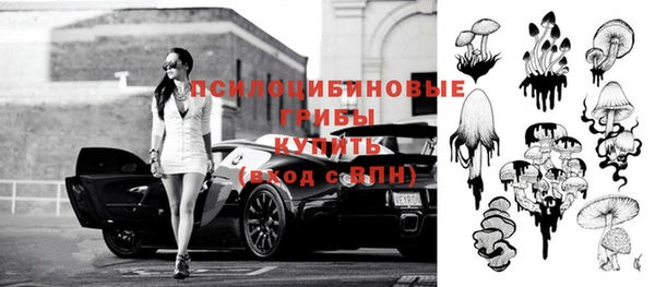 амф Белоозёрский