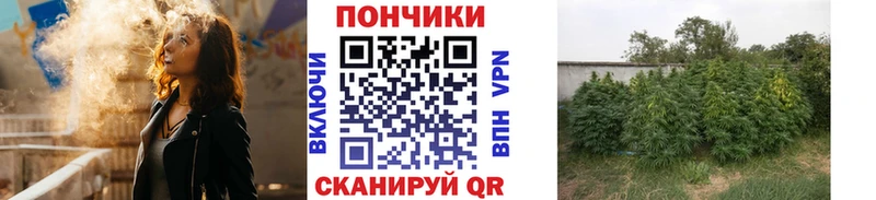 МАРИХУАНА индика  Мураши 